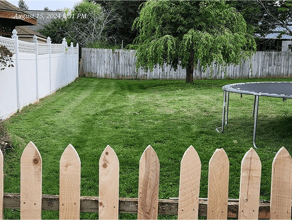 Freshly mowed local backyard with visible mowing lines, wooden fence, and trampoline in the corner