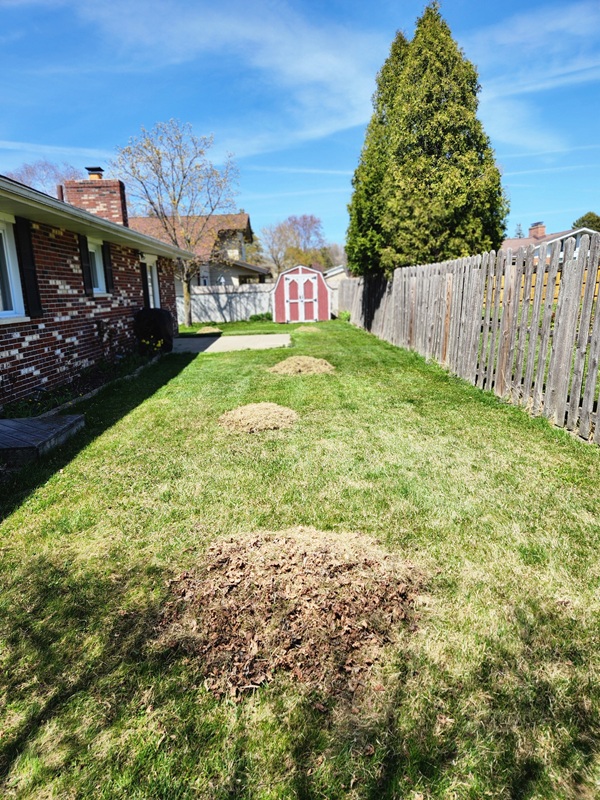Cleanup in progress