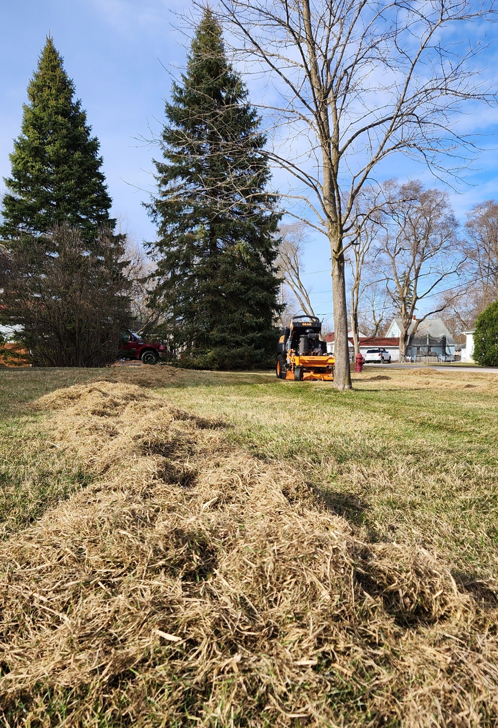 An early spring dethatch cleanup in progress