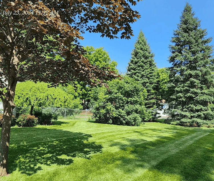 Vibrant green lawn with crisp mowing lines in a well-maintained front yard