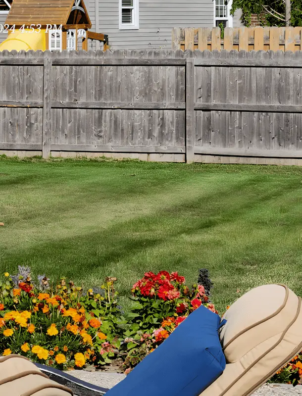Spacious lawn with bright sunlight and deep greens