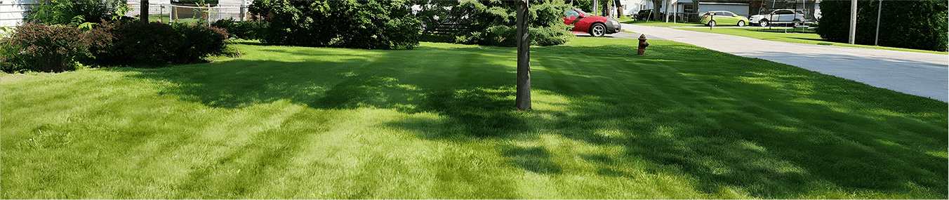 Lush green lawn with neat mowing lines, representing professional lawn transformations in the gallery