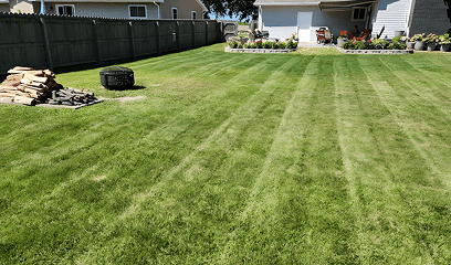 Backyard with clean, trimmed grass after a quick mow and go service