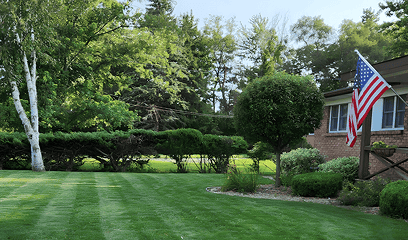 Freshly mowed lawn with neat edges, showing results of premium mowing service